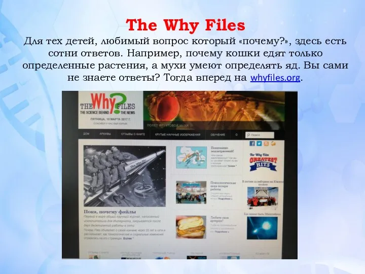 The Why Files Для тех детей, любимый вопрос который «почему?», здесь есть