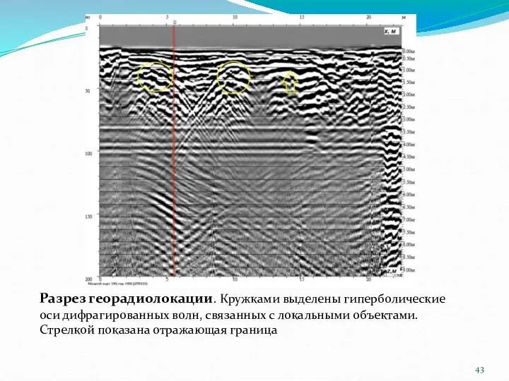 Разрез георадиолокации. Кружками выделены гиперболические оси дифрагированных волн, связанных с локальными объектами. Стрелкой показана отражающая граница