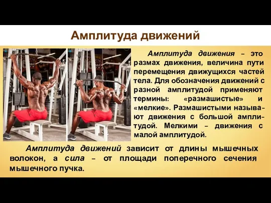 Амплитуда движения – это размах движения, величина пути перемещения движущихся частей тела.