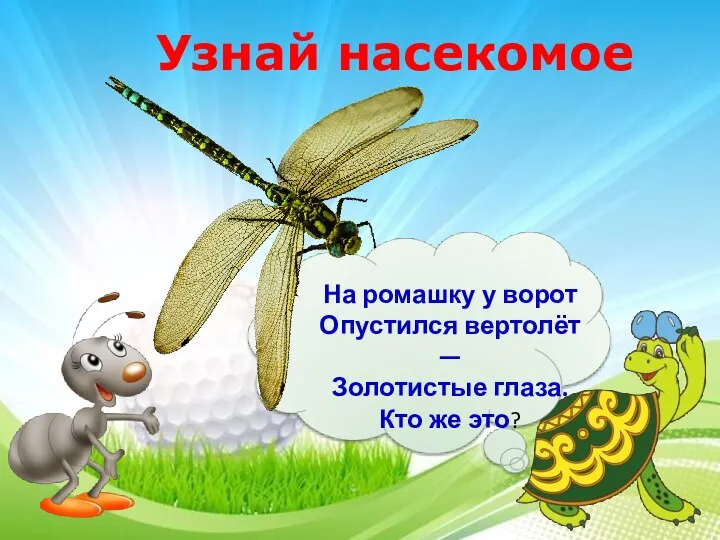 Узнай насекомое На ромашку у ворот Опустился вертолёт — Золотистые глаза. Кто же это?