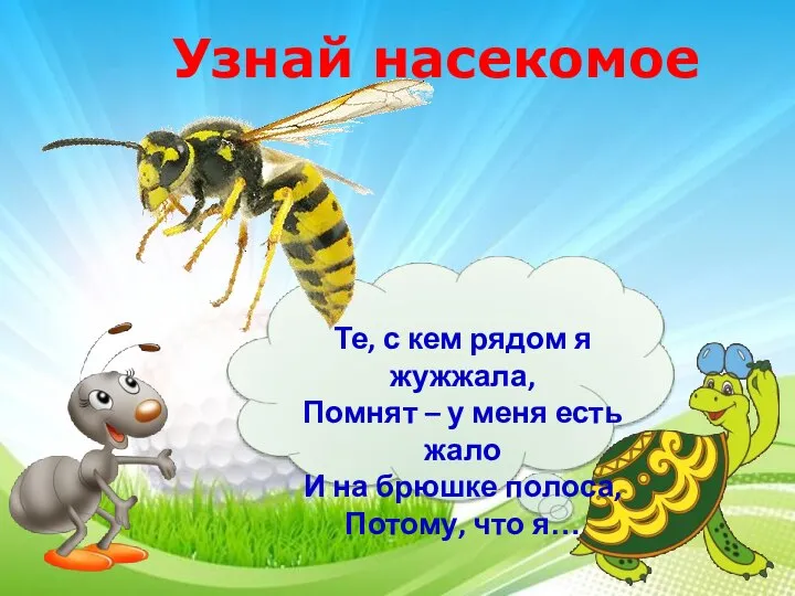 Узнай насекомое Те, с кем рядом я жужжала, Помнят – у меня