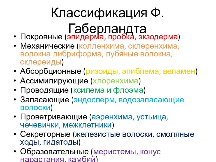 Классификация Ф. Габерландта Покровные (эпидерма, пробка, экзодерма) Механические (колленхима, склеренхима, волокна либриформа,