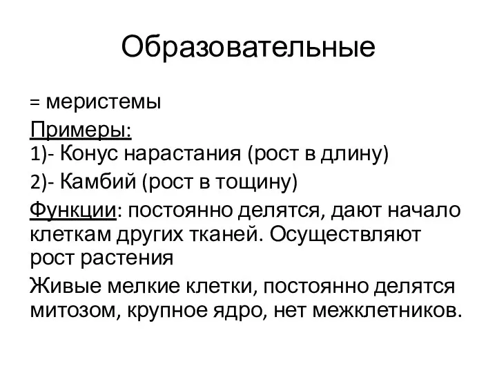 Образовательные = меристемы Примеры: 1)- Конус нарастания (рост в длину) 2)- Камбий