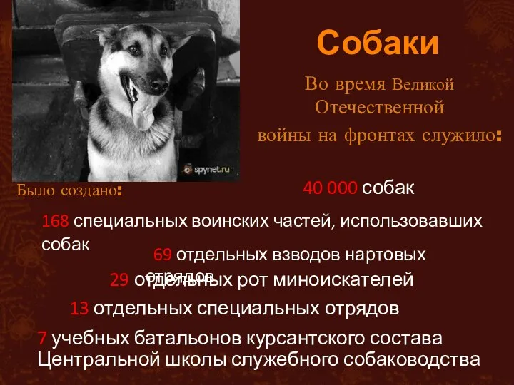 Собаки Во время Великой Отечественной войны на фронтах служило: Было создано: 168