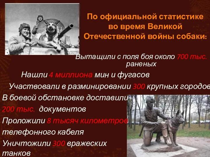 По официальной статистике во время Великой Отечественной войны собаки: Вытащили с поля