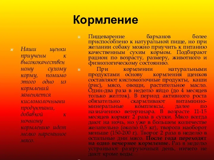 Кормление Пищеварение барханов более приспособлено к натуральной пище, но при желании собаку