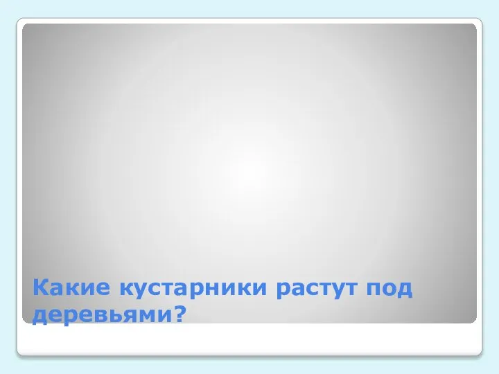 Какие кустарники растут под деревьями?