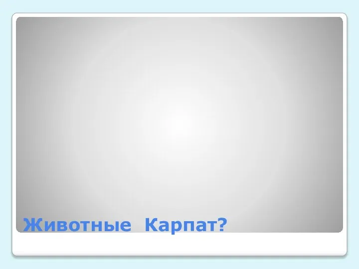 Животные Карпат?