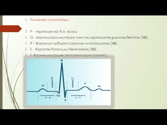 Тісшелер сипаттайды: Р – жүрекшелер б.е. қозуы, Q - қарыншаралық перде мен