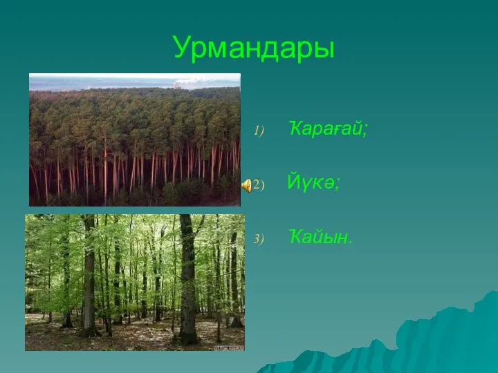 Урмандары Ҡарағай; Йүкә; Ҡайын.