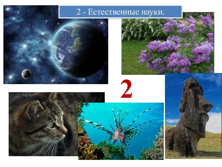 2 2 - Естественные науки.