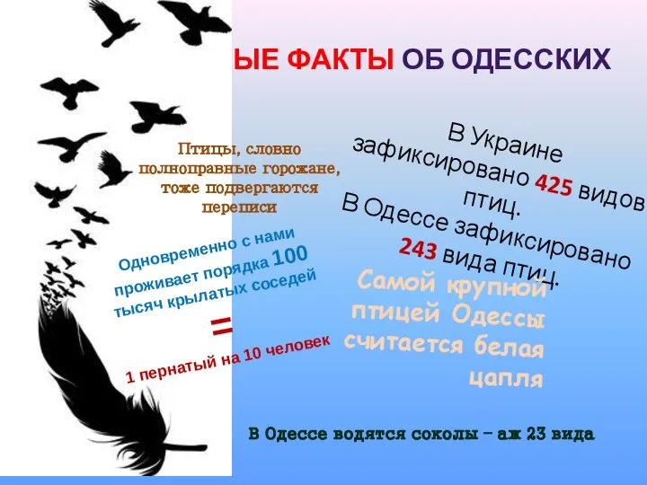 ИНТЕРЕСНЫЕ ФАКТЫ ОБ ОДЕССКИХ ПТИЦАХ Птицы, словно полноправные горожане, тоже подвергаются переписи