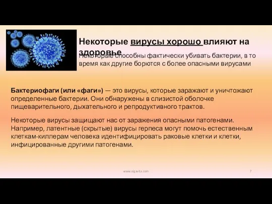 www.olgavita.com Некоторые вирусы хорошо влияют на здоровье Некоторые способны фактически убивать бактерии,