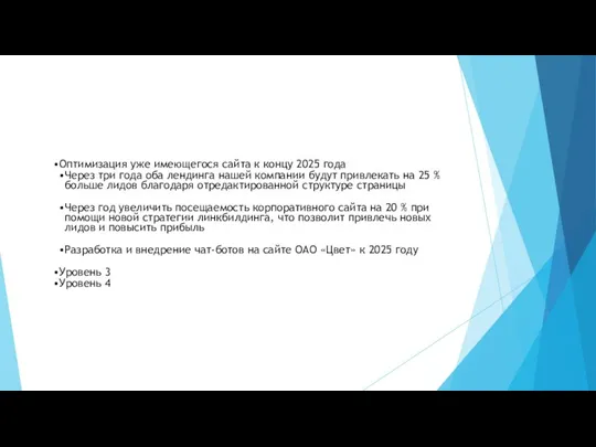 Оптимизация уже имеющегося сайта к концу 2025 года Через три года оба