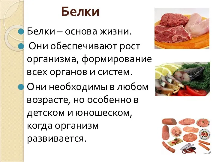 Белки Белки – основа жизни. Они обеспечивают рост организма, формирование всех органов