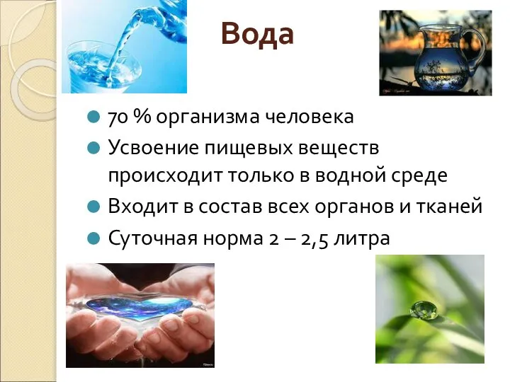 70 % организма человека Усвоение пищевых веществ происходит только в водной среде