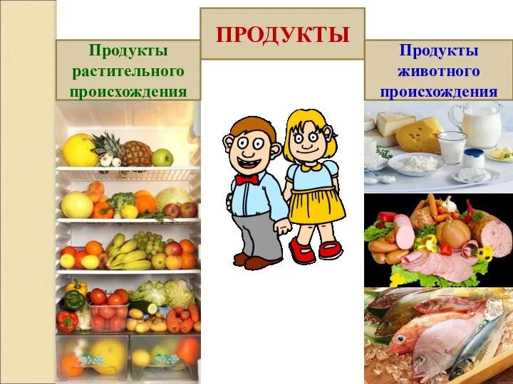 ПРОДУКТЫ Продукты растительного происхождения Продукты животного происхождения