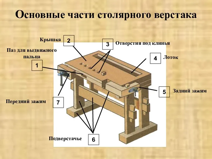 Основные части столярного верстака Подверстачье Крышка Отверстия под клинья Лоток Передний зажим