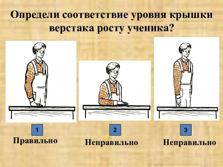 Определи соответствие уровня крышки верстака росту ученика? Правильно Неправильно Неправильно 1 2 3