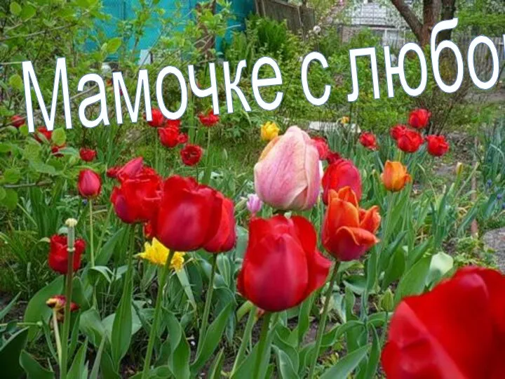 Мамочке с любовью