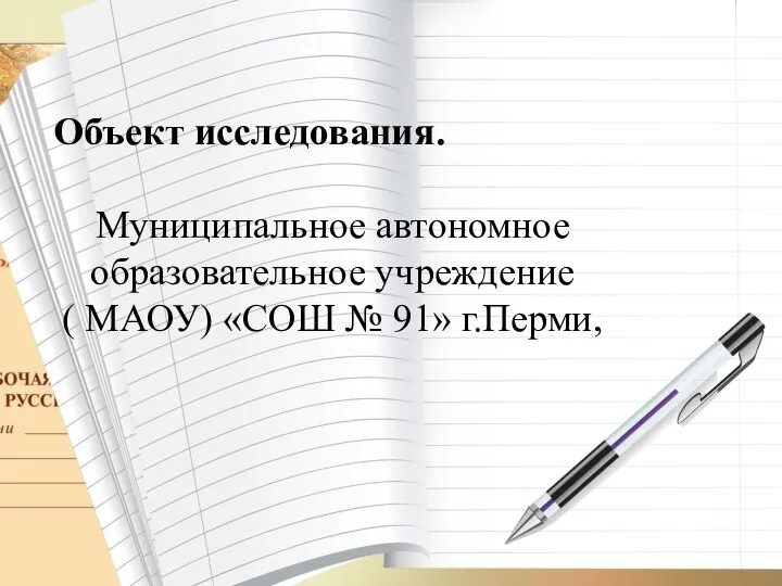 Объект исследования. Муниципальное автономное образовательное учреждение ( МАОУ) «СОШ № 91» г.Перми,