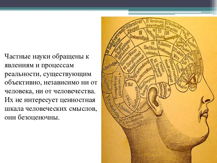 Частные науки обращены к явлениям и процессам реальности, существующим объективно, независимо ни