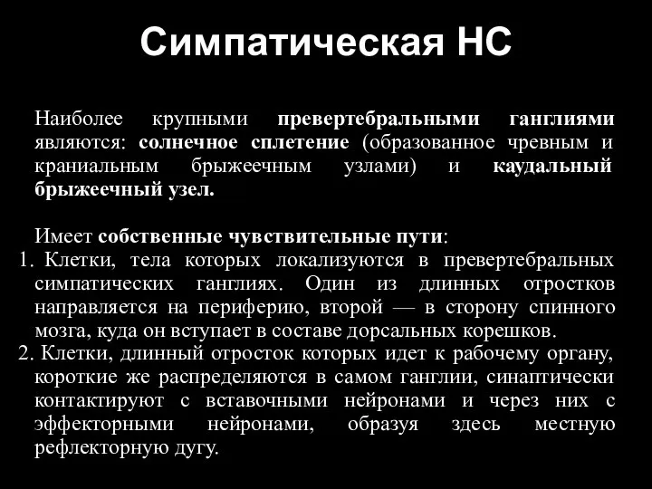 Наиболее крупными превертебральными ганглиями являются: солнечное сплетение (образованное чревным и краниальным брыжеечным