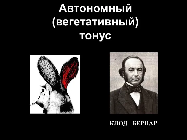 Автономный (вегетативный) тонус КЛОД БЕРНАР