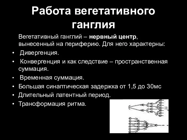 Работа вегетативного ганглия Вегетативный ганглий – нервный центр, вынесенный на периферию. Для