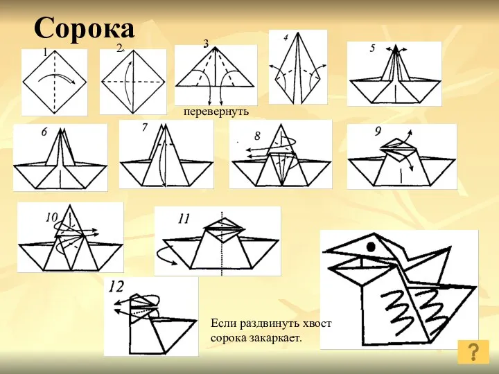 Сорока 1 2 3 перевернуть Если раздвинуть хвост сорока закаркает.