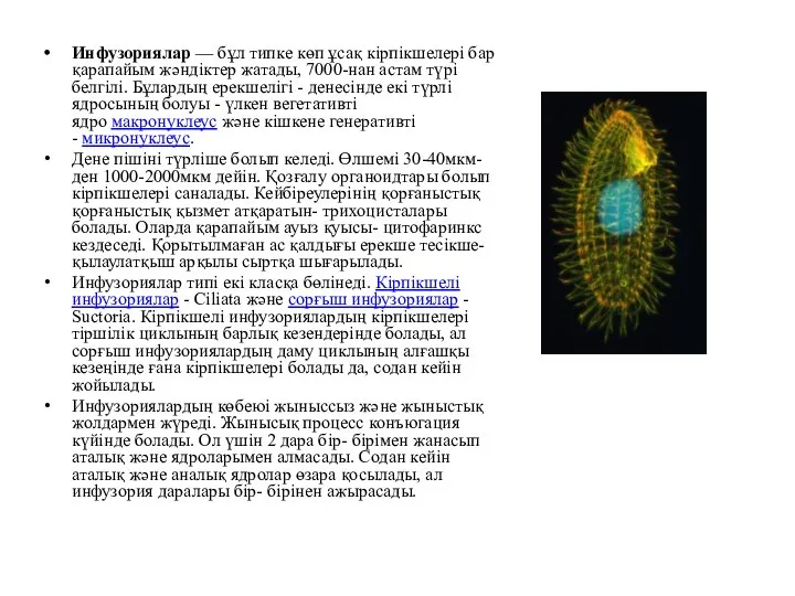 Инфузориялар — бұл типке көп ұсақ кірпікшелері бар қарапайым жәндіктер жатады, 7000-нан