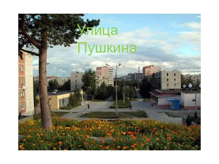 Улица Пушкина