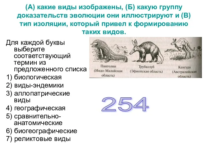 (А) какие виды изображены, (Б) какую группу доказательств эволюции они иллюстрируют и