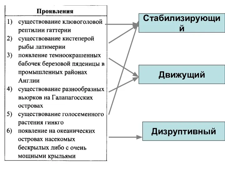 Стабилизирующий Движущий Дизруптивный