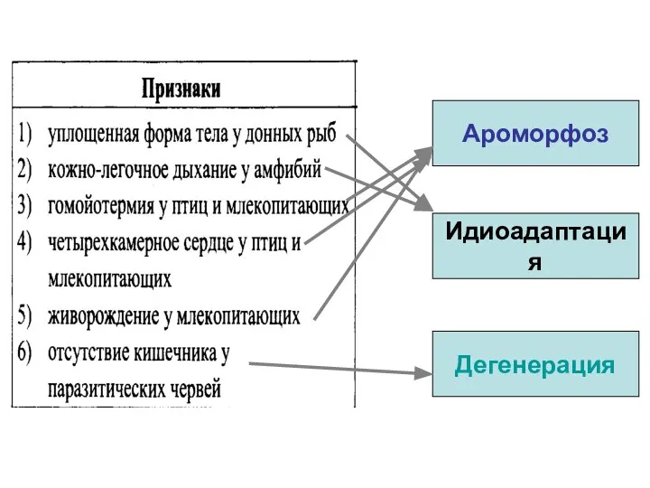 Ароморфоз Идиоадаптация Дегенерация