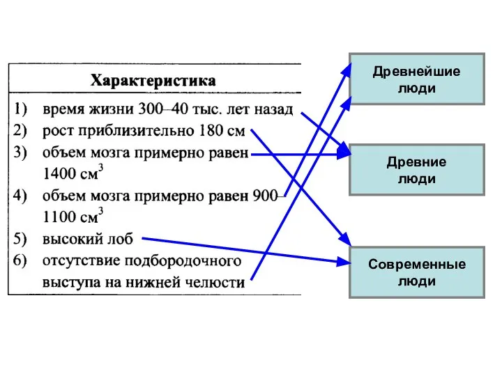 Древнейшие люди Древние люди Современные люди