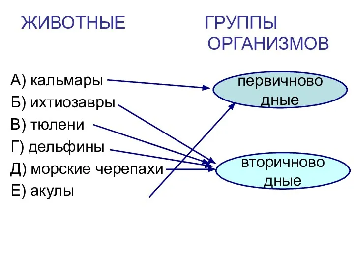 ЖИВОТНЫЕ ГРУППЫ ОРГАНИЗМОВ А) кальмары Б) ихтиозавры В) тюлени Г) дельфины Д)