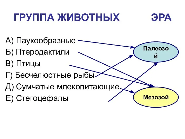 ГРУППА ЖИВОТНЫХ ЭРА А) Паукообразные Б) Птеродактили В) Птицы Г) Бесчелюстные рыбы