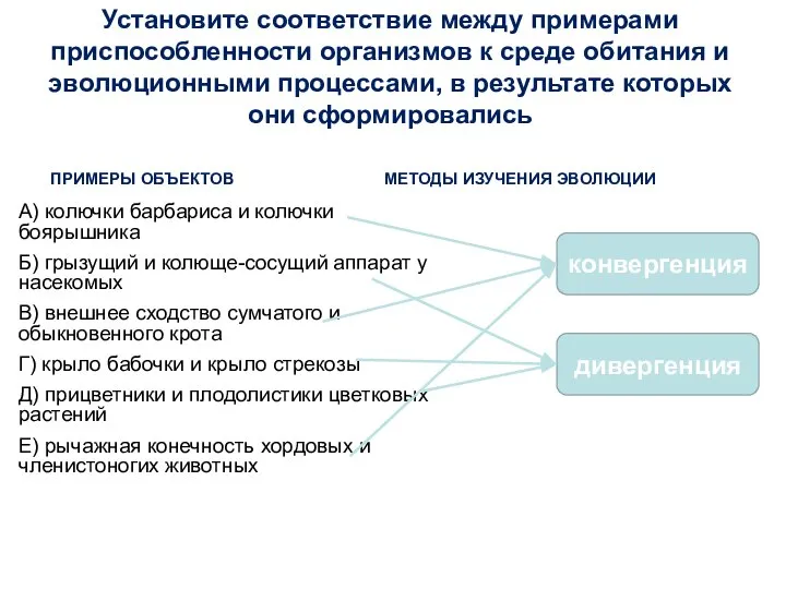 Установите соответствие между примерами приспособленности организмов к среде обитания и эволюционными процессами,