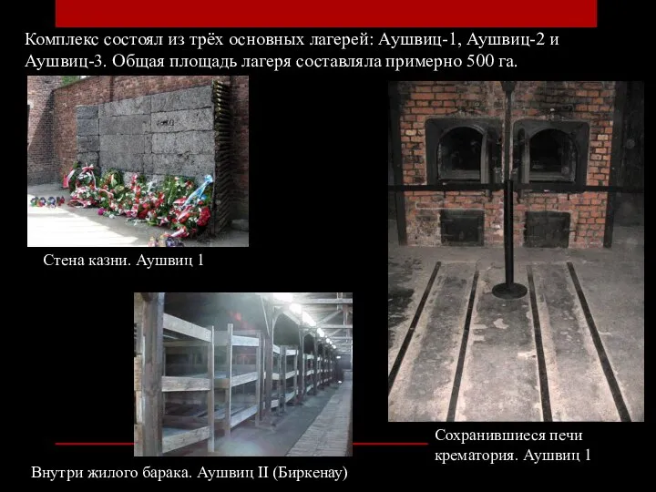 Комплекс состоял из трёх основных лагерей: Аушвиц-1, Аушвиц-2 и Аушвиц-3. Общая площадь