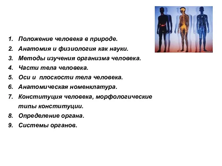 Положение человека в природе. Анатомия и физиология как науки. Методы изучения организма