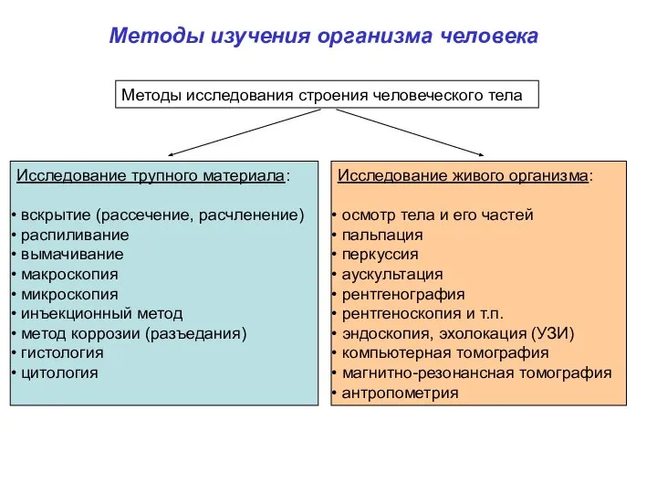 Методы изучения организма человека Методы исследования строения человеческого тела Исследование трупного материала: