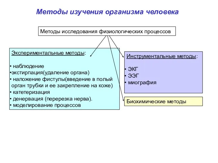 Методы изучения организма человека Экспериментальные методы: наблюдение экстирпация(удаление органа) наложение фистулы(введение в