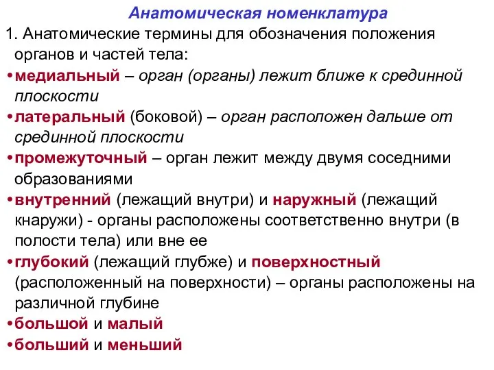 Анатомическая номенклатура 1. Анатомические термины для обозначения положения органов и частей тела: