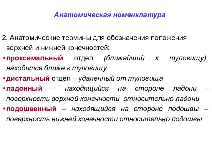 Анатомическая номенклатура 2. Анатомические термины для обозначения положения верхней и нижней конечностей: