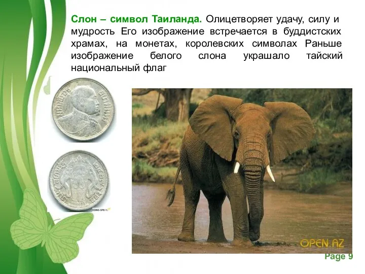 Слон – символ Таиланда. Олицетворяет удачу, силу и мудрость Его изображение встречается