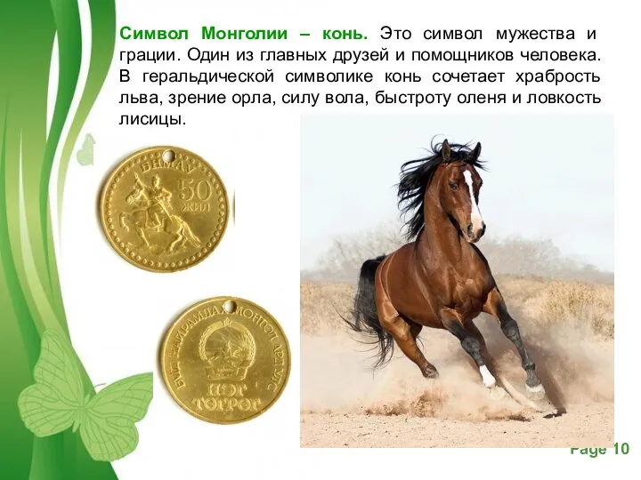 Символ Монголии – конь. Это символ мужества и грации. Один из главных
