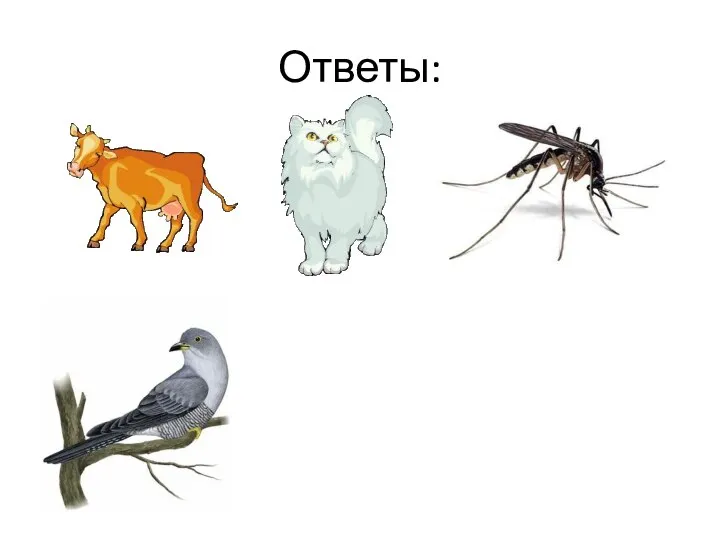 Ответы: