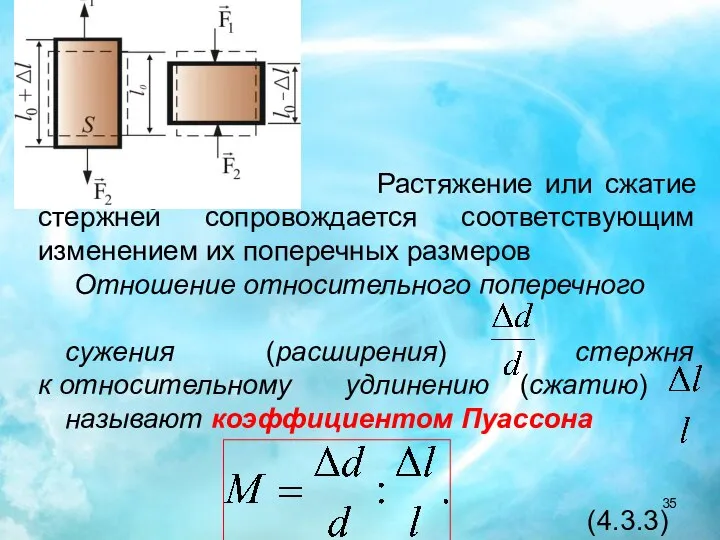 Растяжение или сжатие стержней сопровождается соответствующим изменением их поперечных размеров Отношение относительного