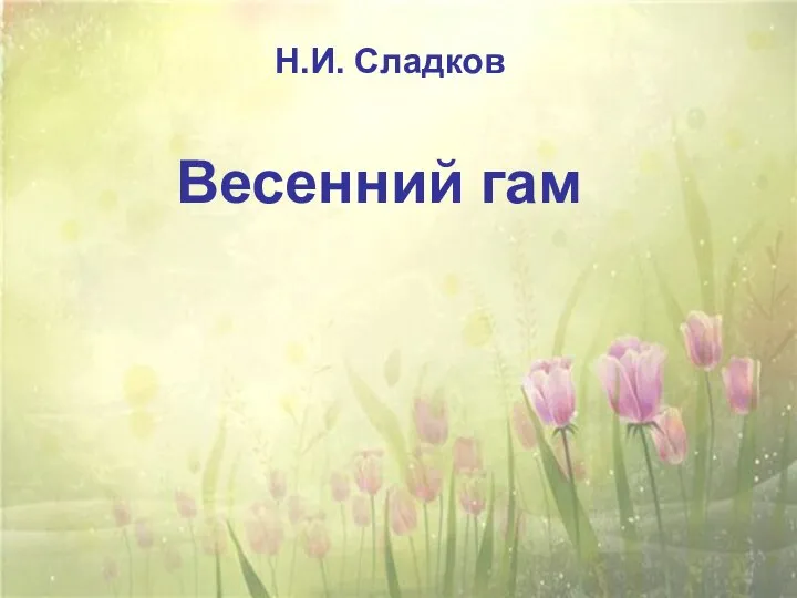 Весенний гам Н.И. Сладков